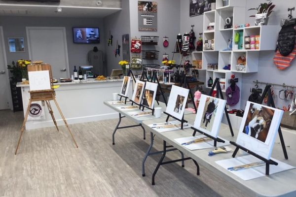 canvas-on-tables-in-a-pet-store