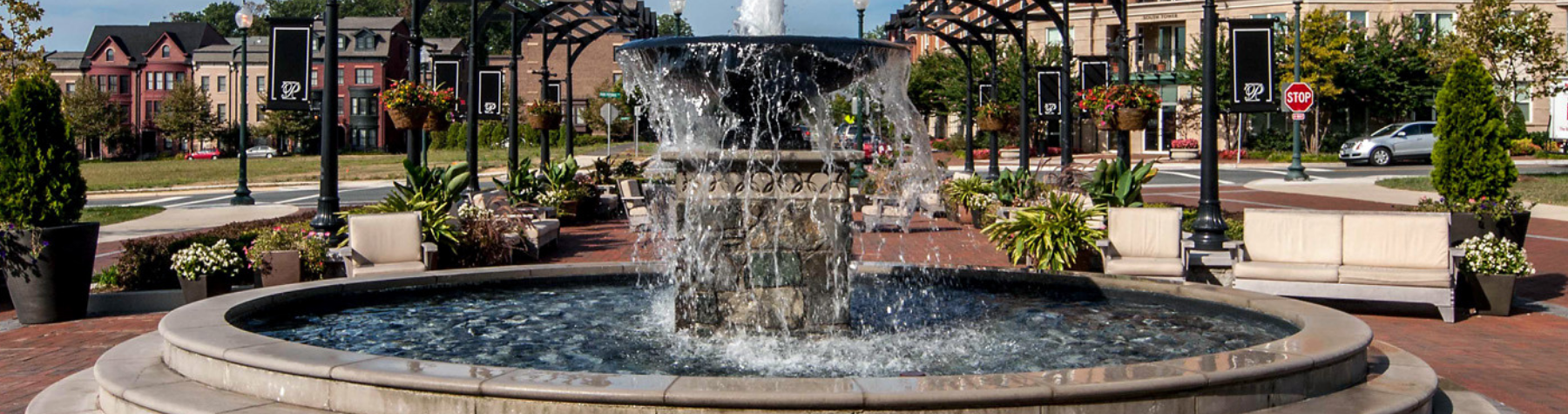 Many Upcoming Openings at Park Potomac; At 100% Capacity For First Time