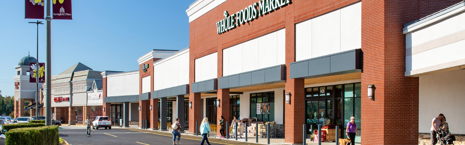 The Allure of the Shopping Center